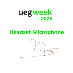 2x Headset Microphones