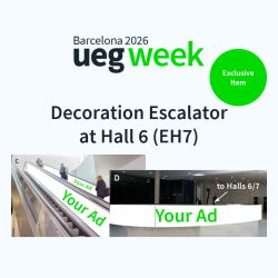 Decoration Escalator at Hall 6 (EH7)