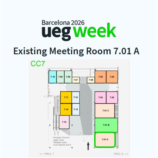 Existing  Meeting Room 7.01 A - 81 sqm - whole duration