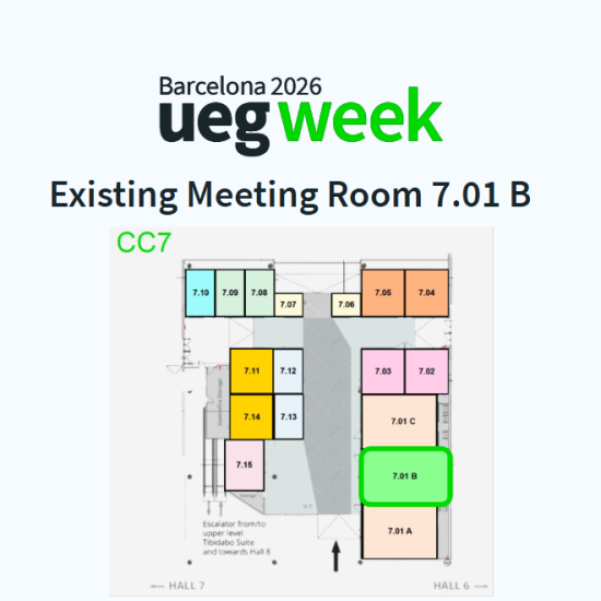 Existing  Meeting Room 7.01 B - 91 sqm - whole duration