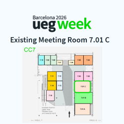 Existing  Meeting Room 7.01 C - 81 sqm - whole duration