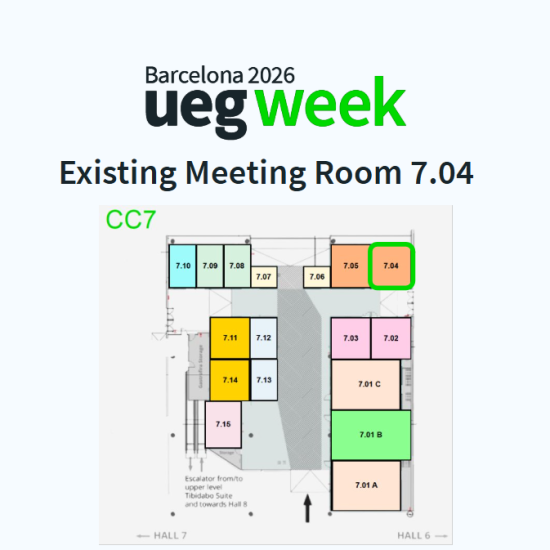 Existing  Meeting Room 7.04 - 40 sqm - whole duration