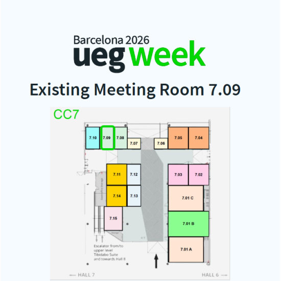 Existing  Meeting Room 7.09 - 26 sqm - whole duration