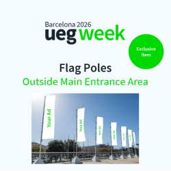 Flag Poles Outside Main Entrance Area